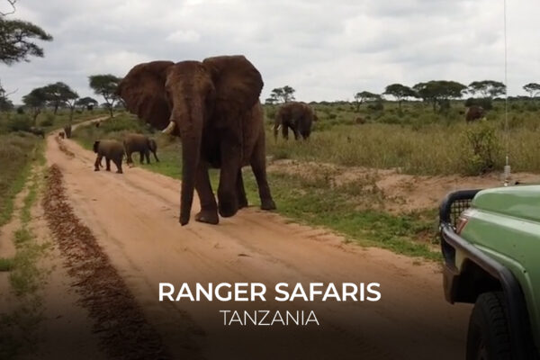 Ranger Safaris - Tanzania